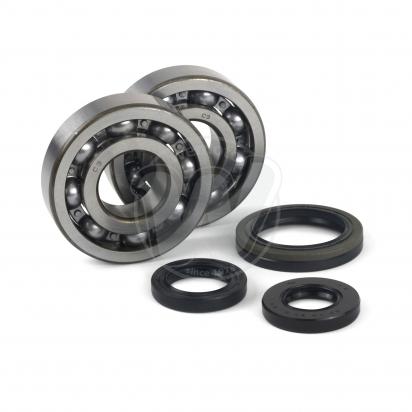 Crankshaft Seal and Mainbearing Kit