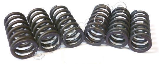 Clutch Spring Set