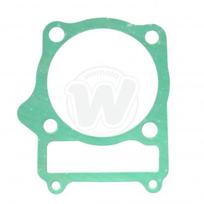 Cylinder Base Gasket