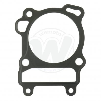 Cylinder Base Gasket