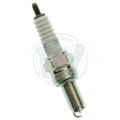 Spark Plug NGK Iridium