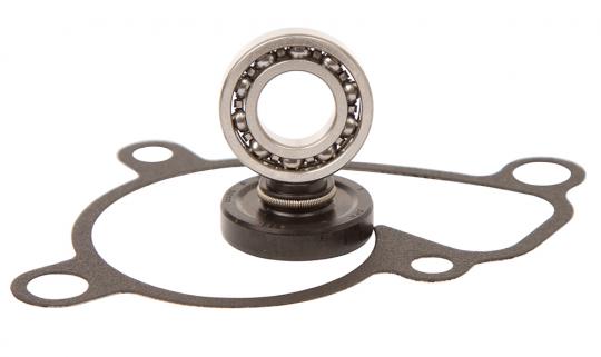 Water Pump Repair Kit