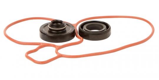 Water Pump Repair Kit